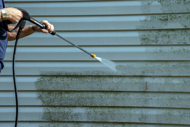 Best Spring Cleaning  in Byron, IL